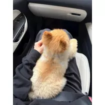 紬 むぎ