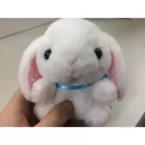 のあ