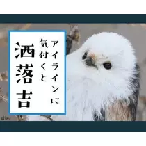 ひな