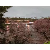 あい