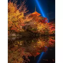 美月