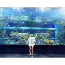芹沢 莉瀬
