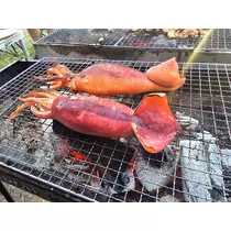 れいか