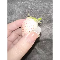 るな