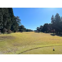 美咲