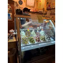 夏目 かんな