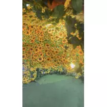 みぃな