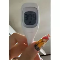 ティラノまな