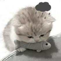 ひめの