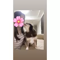 ありさ♡