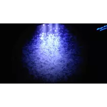 かれん