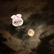夏川 ふうか
