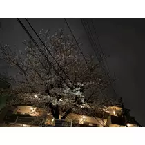 あかり