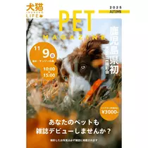みこ