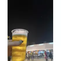 司