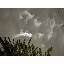 あおい