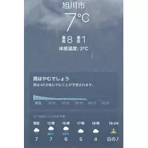 七星 夏純
