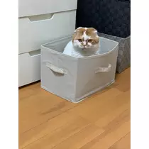れみ