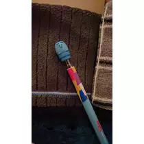 さや