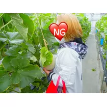 ミリア