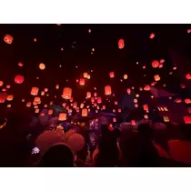 めい
