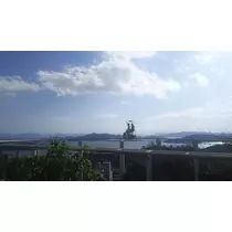 さくら