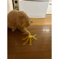よしこ