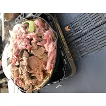 宝條 夏恋