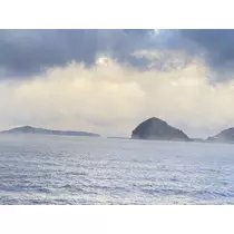 ハル
