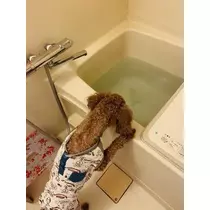 如月 凛