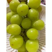 酔超丸 さな