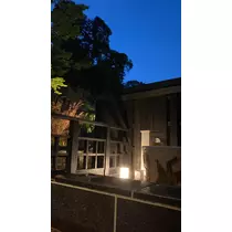 月乃 モモ