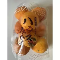 白石 愛莉