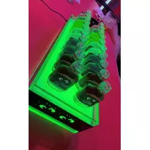 ナギ