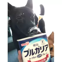 ユカ