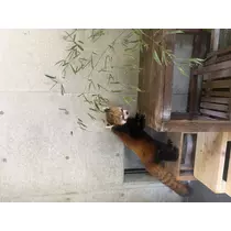 まる