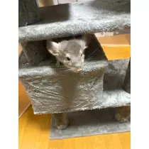 なっちゃん