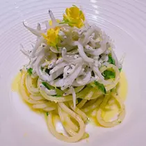向日葵 ひまり