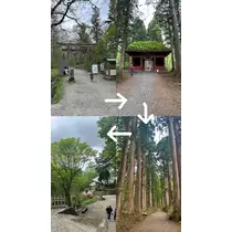 かびるんるんさわ