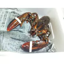 愛羽 仁美