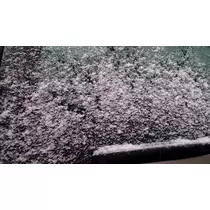七星 夏純