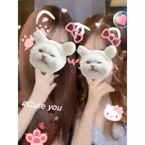 あんな