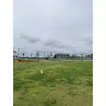 いる