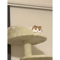 るな