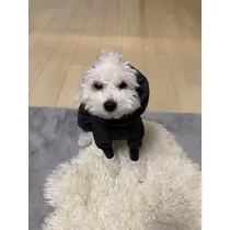 神楽 ゆあ