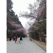 神崎 蘭
