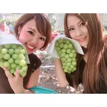 捺月