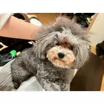 うづき ふうか