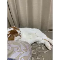 れみ