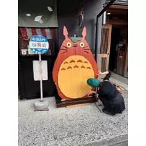 日向 夏南